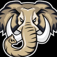 RIT Esports Logo